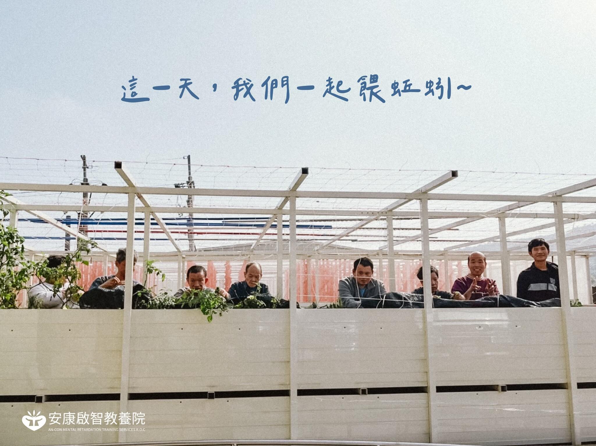 這一天，大家一起餵食蚯蚓！